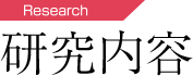 研究内容