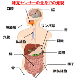 Sgɂ閡oZT[̔